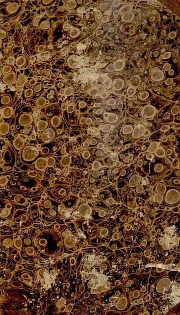 Русская стихотворная хрестоматия. Ч. 2