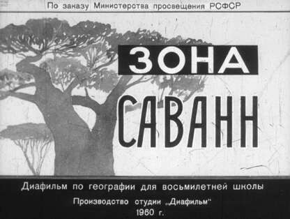 Зона саванн