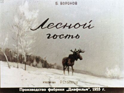 Лесной гость