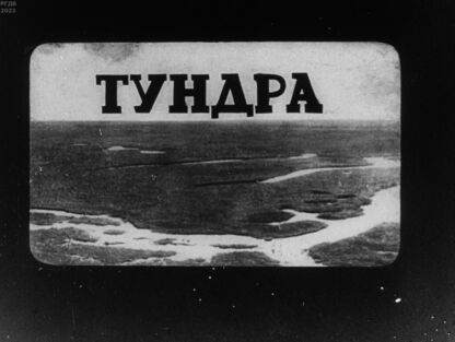 Тундра