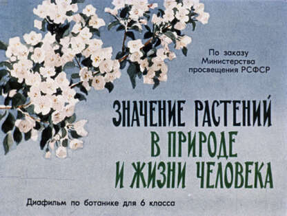 Значение растений в природе и жизни человека