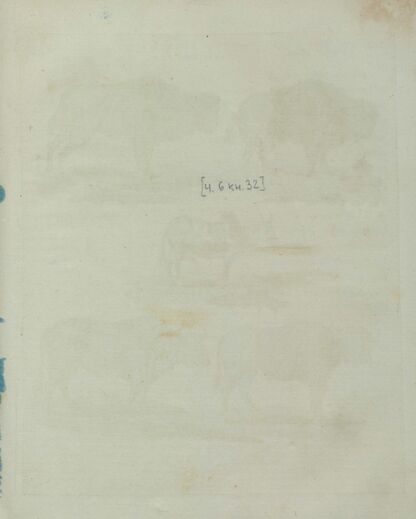 Детский музеум, или Собрание изображений животных, растений, цветов, плодов, минералов, одежд разных народов в свойственном их виде, древностей и других предметов, служащих для наставления и забавы юношества, составленное и гравированное по лучшим образцам, с кратким изъяснением соответственным понятию детей. Часть шестая. [Книга тридцать вторая]