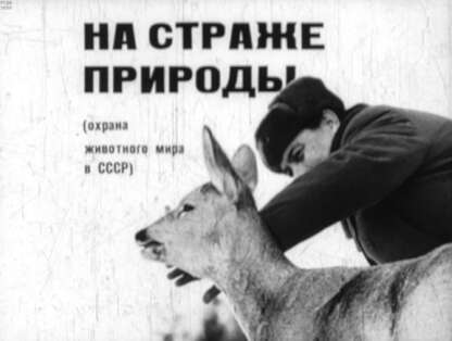 На страже природы