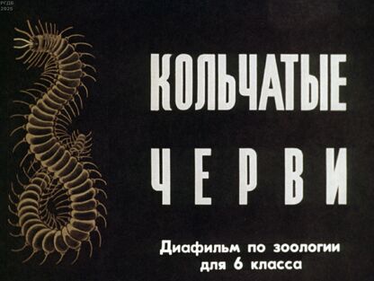 Кольчатые черви