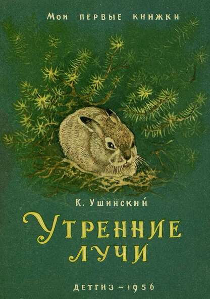Утренние лучи