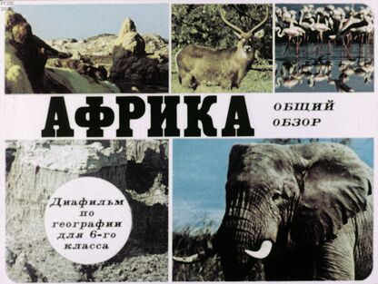 Африка. Общий обзор