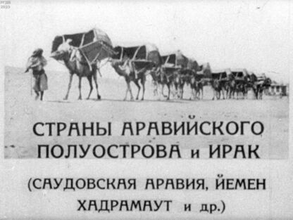 Страны Аравийского полуострова и Ирак. (Саудовская Аравия, Йемен, Хадрамаут и др.)