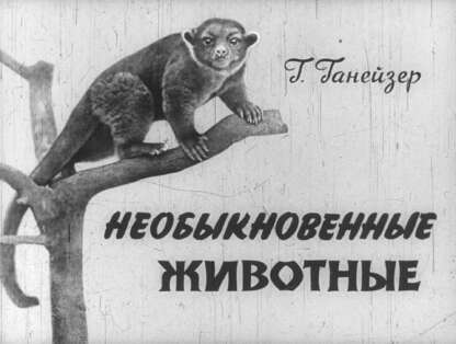 Необыкновенные животные