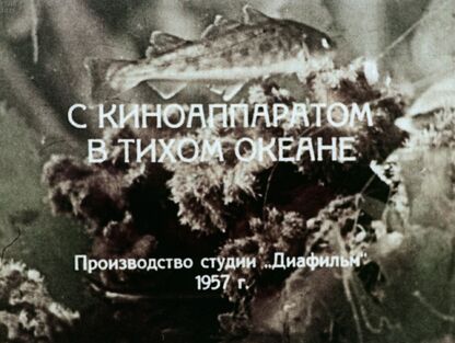 С киноаппаратом в Тихом океане. Часть 2