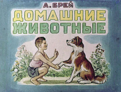 Домашние животные