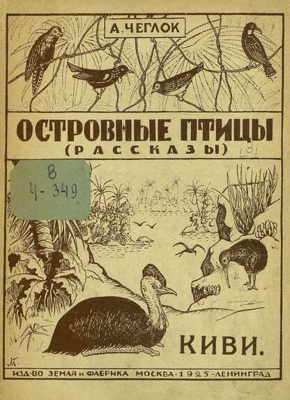 Киви