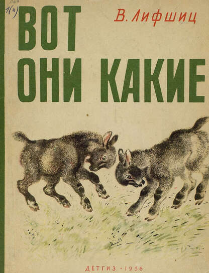 ВОТ ОНИ КАКИЕ