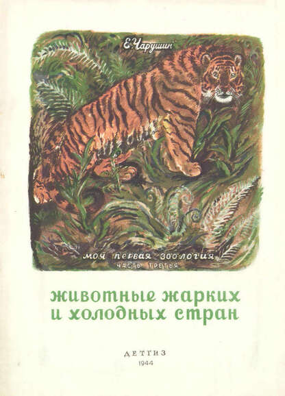 Животные жарких и холодных стран