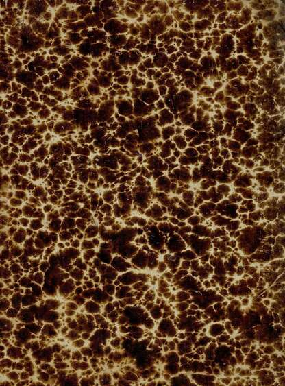 Всходы. Апрель, 1907 г.