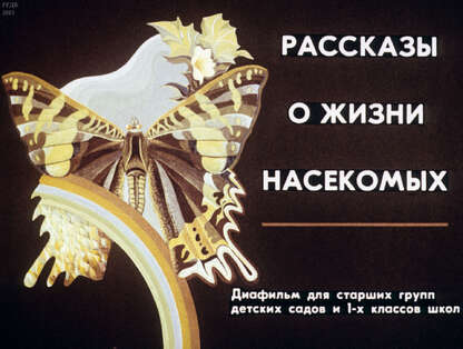 Рассказы о жизни насекомых