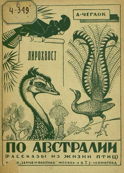Лирохвост