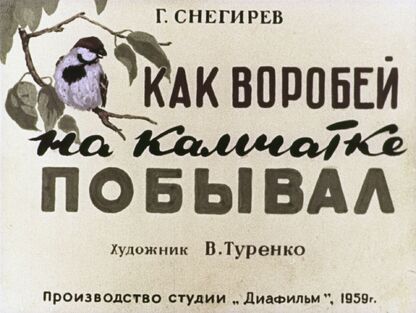 Как воробей на Камчатке побывал