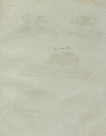 Детский музеум, или Собрание изображений животных, растений, цветов, плодов, минералов, одежд разных народов в свойственном их виде, древностей и других предметов, служащих для наставления и забавы юношества, составленное и гравированное по лучшим образцам, с кратким изъяснением соответственным понятию детей. Часть седьмая. [Книга тридцать девятая]