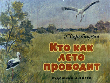 Кто как лето проводит