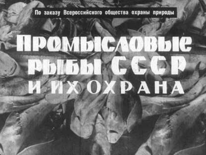 Промысловые рыбы СССР и их охрана