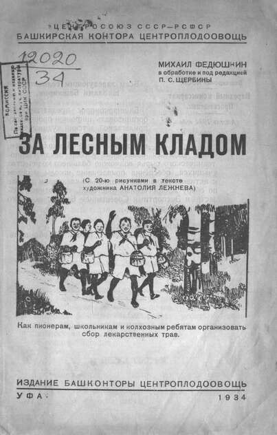 За лесным кладом