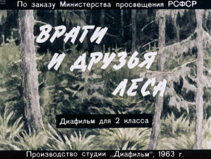 Враги и друзья леса