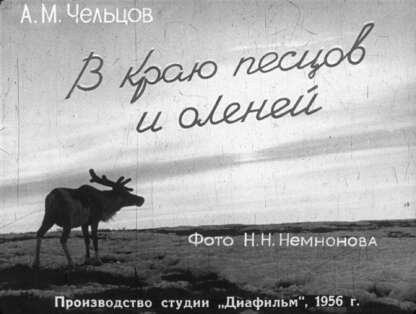 В краю песцов и оленей