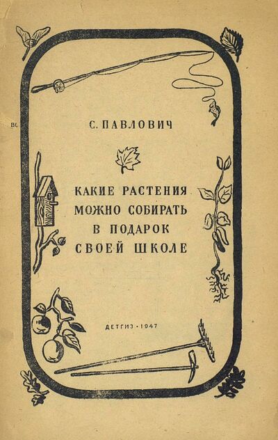 Какие растения можно собирать в подарок своей школе