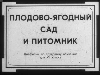 Плодово-ягодный сад и питомник