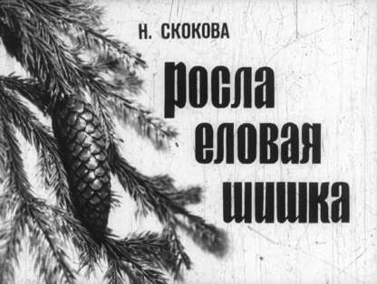 Росла еловая шишка