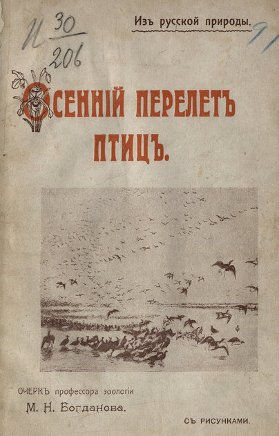 Осенний перелет птиц