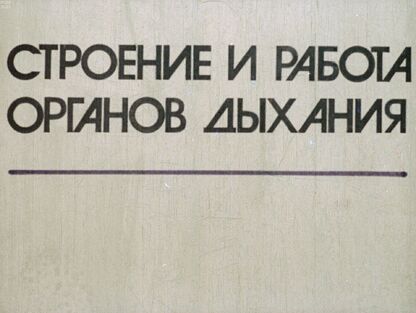 Строение и работа органов дыхания