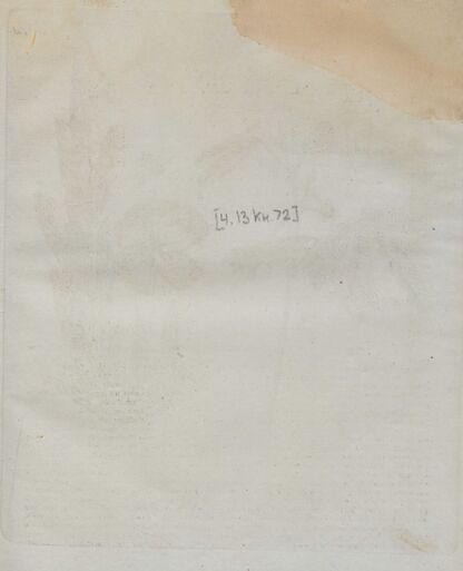 Детский музеум, или Собрание изображений животных, растений, цветов, плодов, минералов, одежд разных народов в свойственном их виде, древностей и других предметов, служащих для наставления и забавы юношества, составленное и гравированное по лучшим образцам, с кратким изъяснением соответственным понятию детей. Часть тринадцатая. [Книга семьдесят вторая]