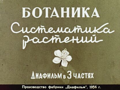 Ботаника