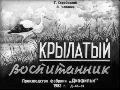 Крылатый воспитанник