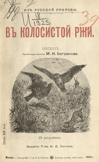 В колосистой ржи