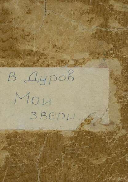 Мои звери
