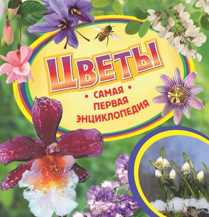 Цветы