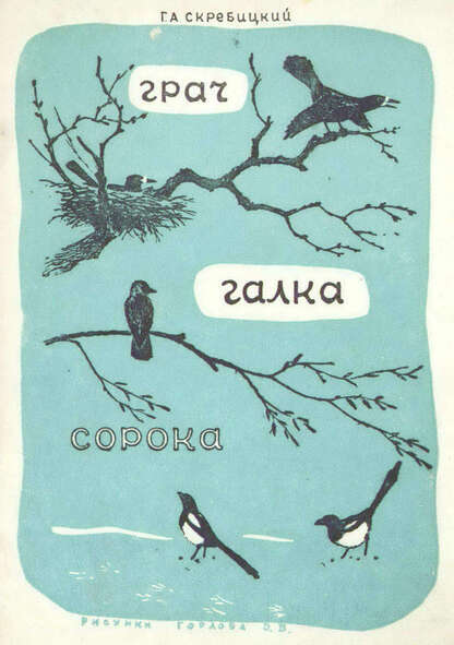Грач, галка, сорока