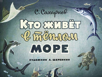 Кто живет в теплом море