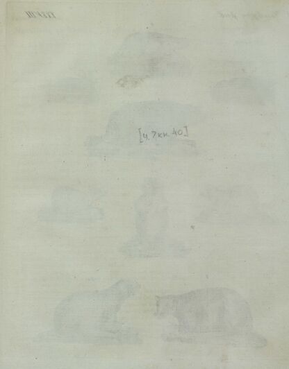 Детский музеум, или Собрание изображений животных, растений, цветов, плодов, минералов, одежд разных народов в свойственном их виде, древностей и других предметов, служащих для наставления и забавы юношества, составленное и гравированное по лучшим образцам, с кратким изъяснением соответственным понятию детей. Часть седьмая. [Книга сороковая]