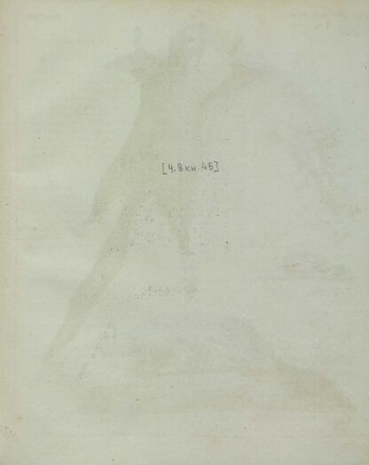 Детский музеум, или Собрание изображений животных, растений, цветов, плодов, минералов, одежд разных народов в свойственном их виде, древностей и других предметов, служащих для наставления и забавы юношества, составленное и гравированное по лучшим образцам, с кратким изъяснением соответственным понятию детей. Часть восьмая. [Книга сорок пятая]