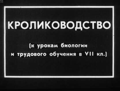 Кролиководство