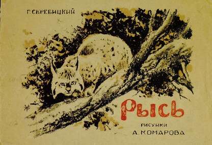 Рысь