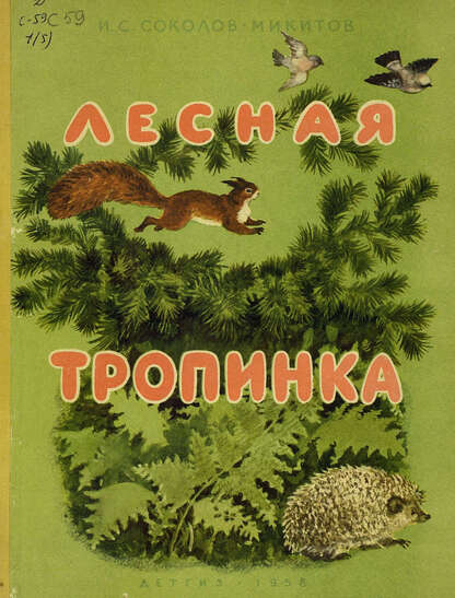 Лесная тропинка
