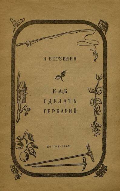 Как сделать гербарий