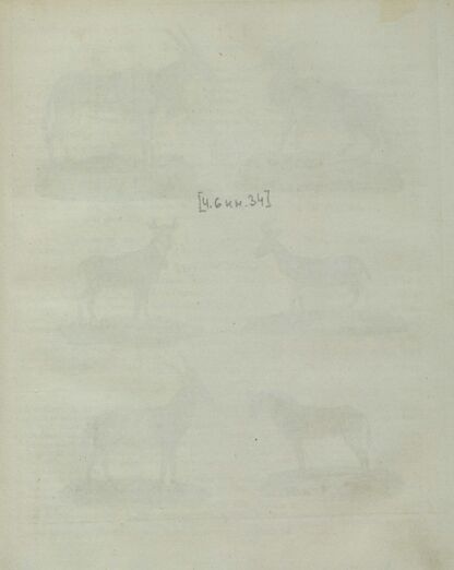 Детский музеум, или Собрание изображений животных, растений, цветов, плодов, минералов, одежд разных народов в свойственном их виде, древностей и других предметов, служащих для наставления и забавы юношества, составленное и гравированное по лучшим образцам, с кратким изъяснением соответственным понятию детей. Часть шестая. [Книга тридцать четвертая]