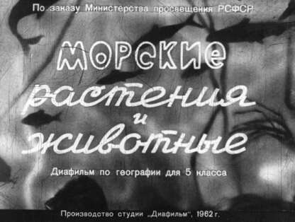 Морские растения и животные